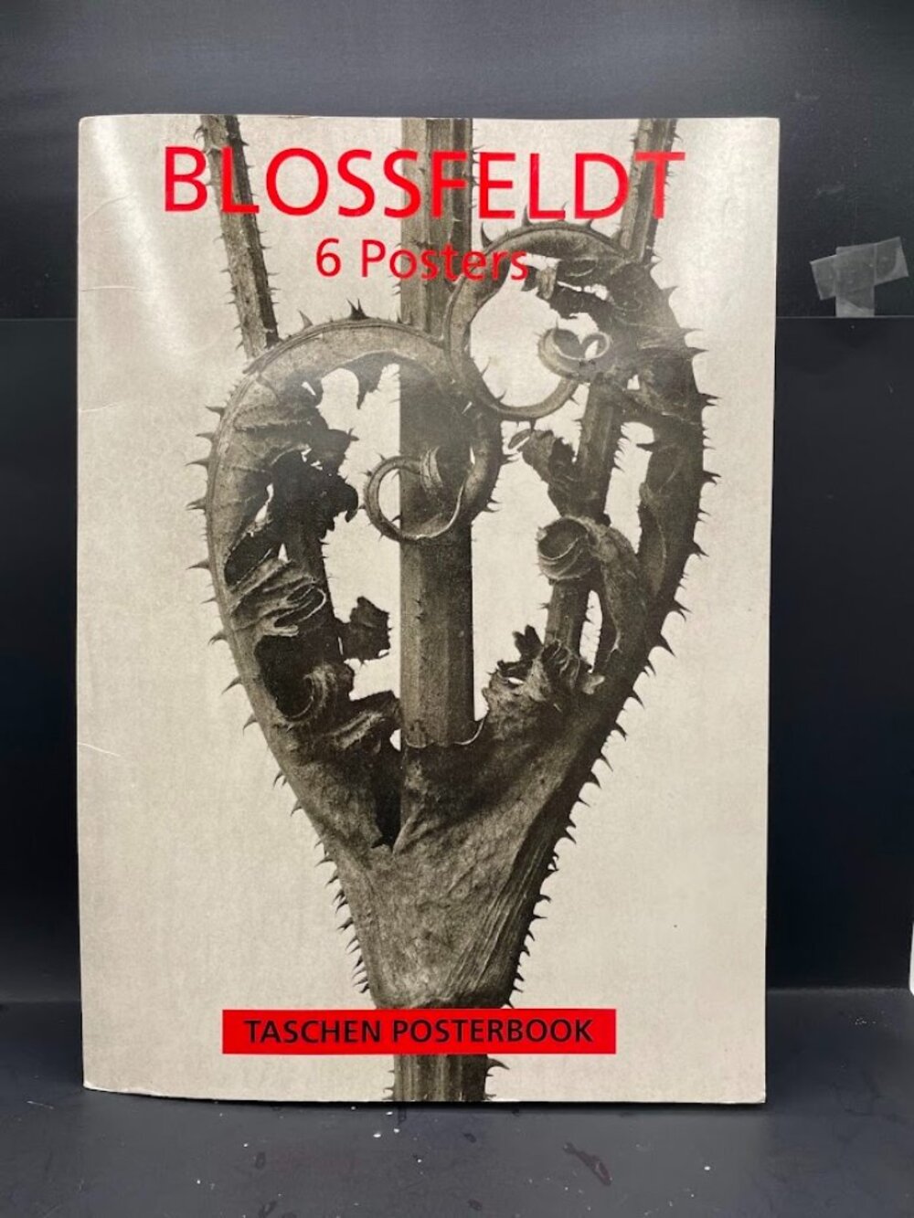 1995 Karl Blossfeldt Taschen Poster Book 6 Black and White Floral Poster Prints